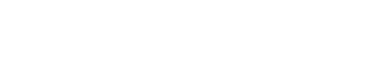 NS TechValley Logo